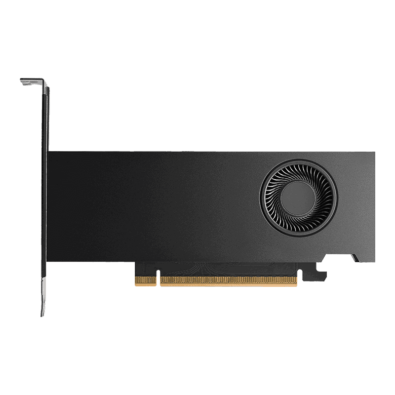 PNY PNY NVIDIA RTX PRO 2000 Blackwell 16GB GDDR7 Low-Profile Workstation Graphics Card (GPU), 4,352 CUDA Cores, PCIe 5.0, 70W, 4x mini DisplayPort 2.1b, DLSS 4  | VCNRTXPRO2000-SB - thumbnail 2