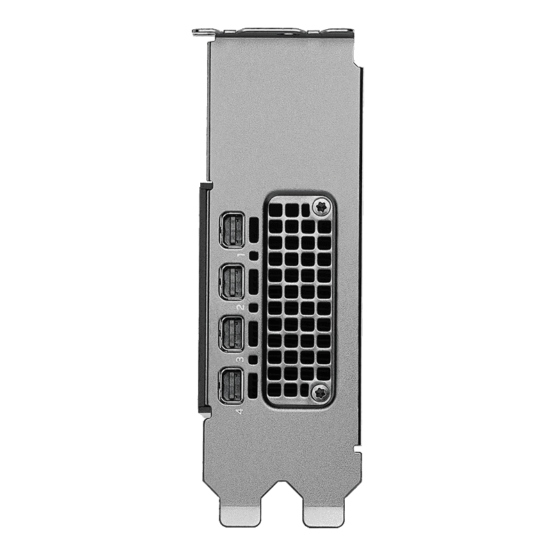 PNY PNY NVIDIA RTX PRO 2000 Blackwell 16GB GDDR7 Low-Profile Workstation Graphics Card (GPU), 4,352 CUDA Cores, PCIe 5.0, 70W, 4x mini DisplayPort 2.1b, DLSS 4  | VCNRTXPRO2000-SB - thumbnail 4