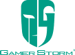 Gamer Storm