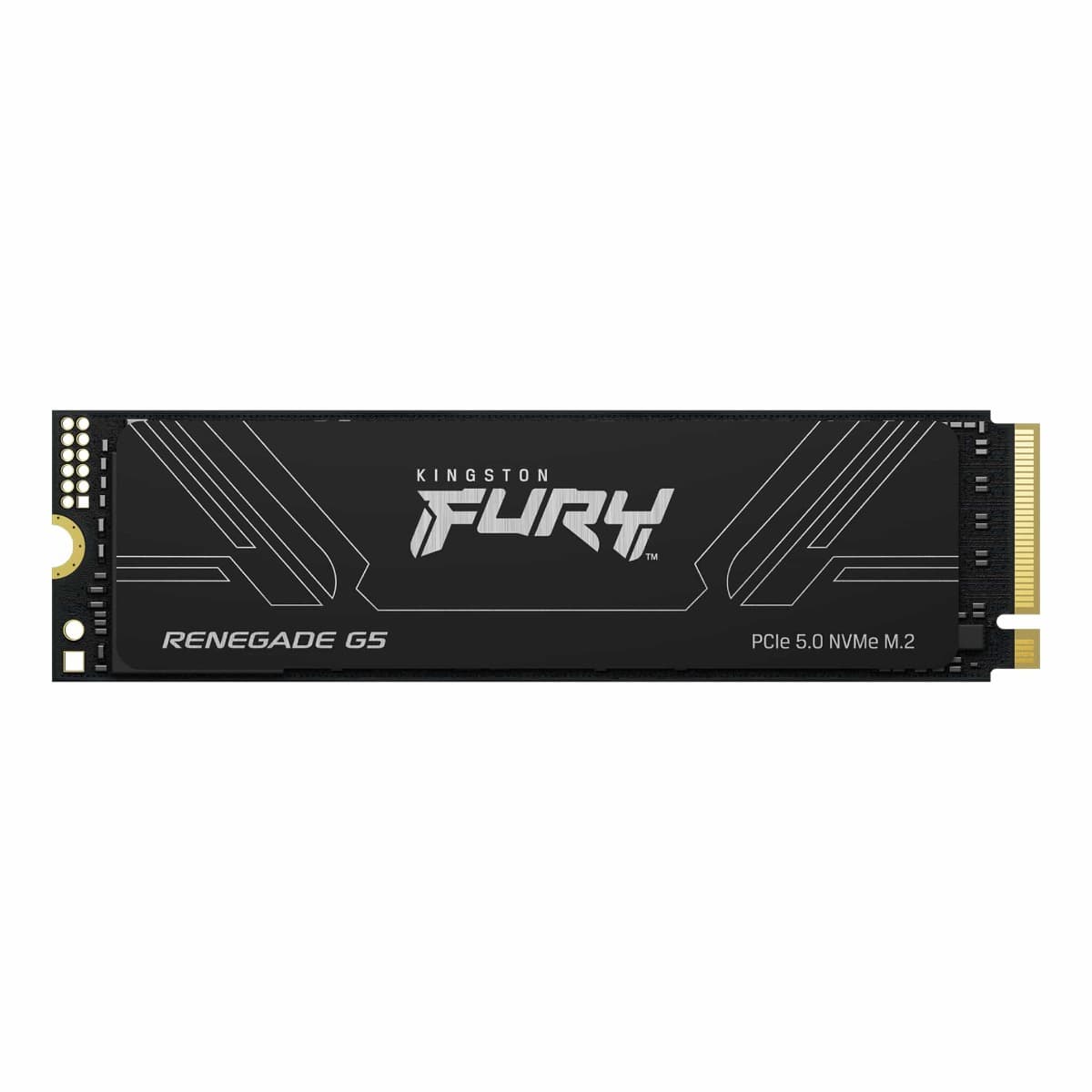Kingston FURY Renegade G5 1TB PCIe 5.0 NVMe M.2 SSD, Up to 14,200MB/s read, 11,000MB/s write | SFYR2S/1T0 – Buy Online