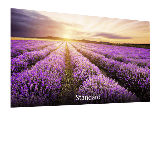 ASUS-Designo-BE24DQLB-blue-light-filter-standard